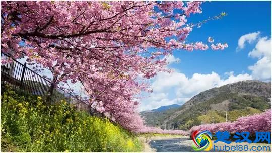 最佳旅行地，寻找无与伦比的美