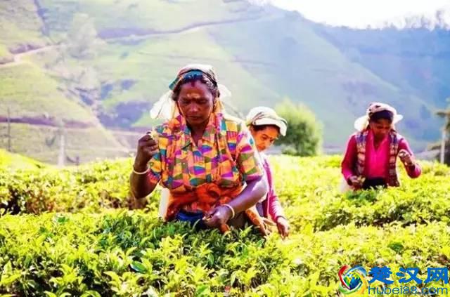 最佳旅行地，寻找无与伦比的美