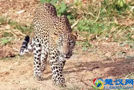 最佳旅行地，寻找无与伦比的美