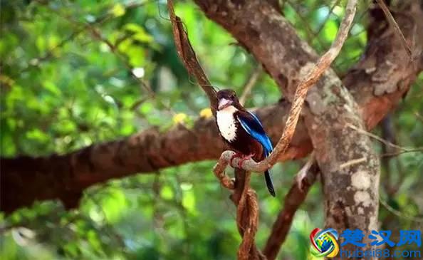 最佳旅行地，寻找无与伦比的美