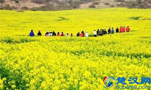 最佳旅行地，寻找无与伦比的美