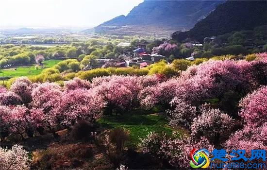 最佳旅行地，寻找无与伦比的美