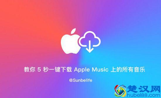 教你 5 秒一键下载 Apple Music 上的所有音乐