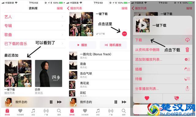 教你 5 秒一键下载 Apple Music 上的所有音乐