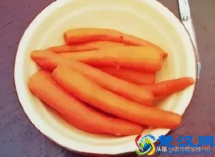 胡萝卜用油炒等于白吃？这样吃，护心通血管，缓解眼疲劳