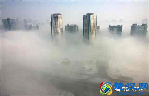 雾是怎样形成的?雾形成和消失de物态变化有哪些?