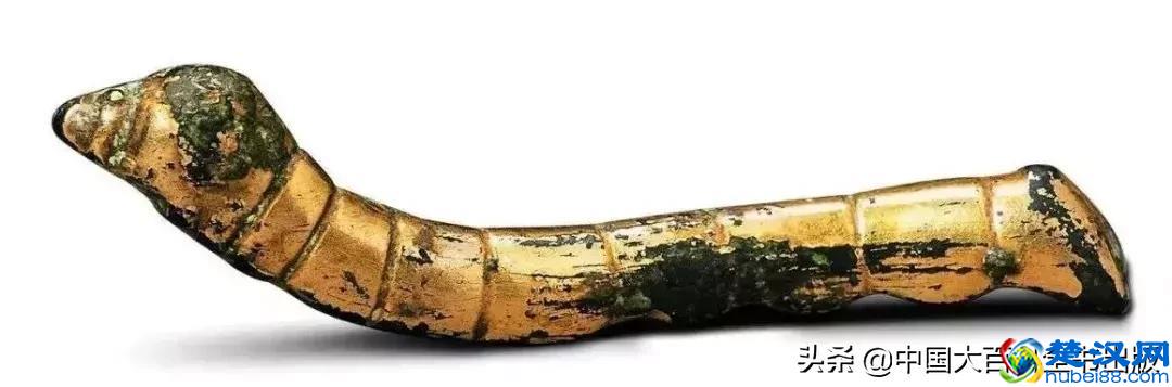 飞蛾扑火并非对光明的盲目热情，而是它们在夜晚要靠月光导航！