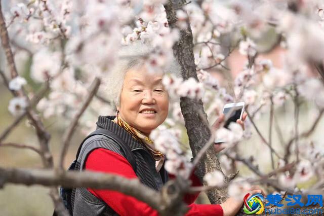 说走就走该带什么吃的?野餐三十六计，带上这些就够了！