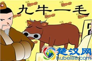 九牛一毛的故事