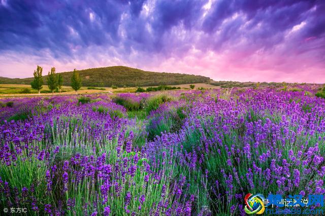 豁达！（深度好文）