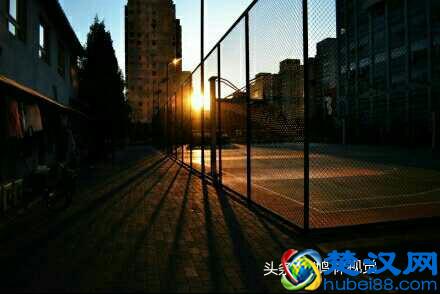 没有什么是一蹴而就的