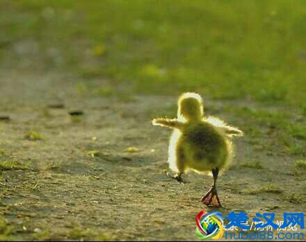 没有什么是一蹴而就的