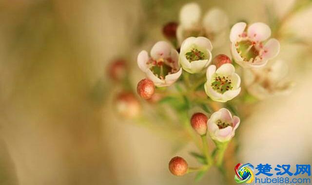 路遥知马力，日久见人心（说得好）