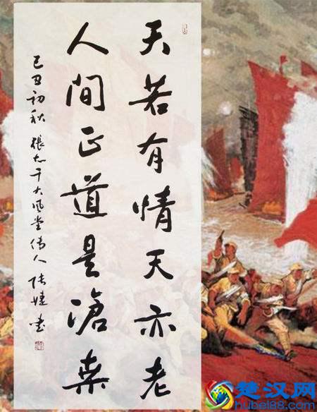 经典诗句：天若有情天亦老，下一句是什么？