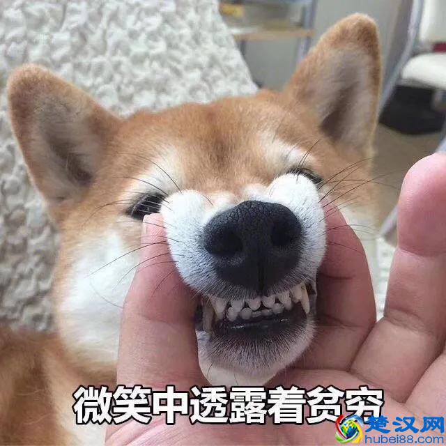 手把手教你如何在今日头条上发布文章赚钱