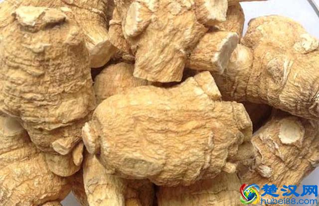 花旗参泡水喝的功效及禁忌 花旗参泡水喝的方法