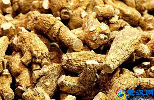 花旗参泡水喝的功效及禁忌 花旗参泡水喝的方法