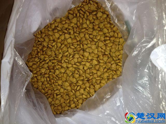 你知道喂狗粮时需要注意些什么吗?