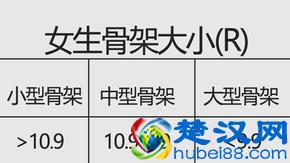 到底是大骨架还是小骨架？原来是这样辨别