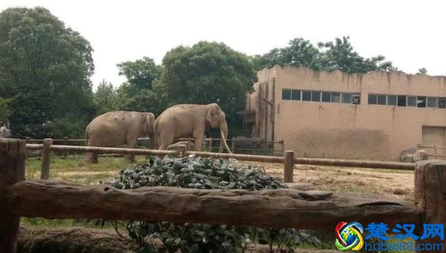 盘点南昌都有哪些好玩的旅游景点
