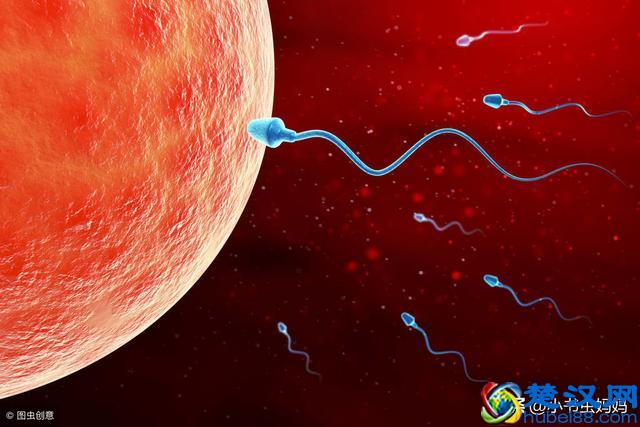 女人每个月都会排卵吗？如何准确监测排卵期？第一种方法最准确