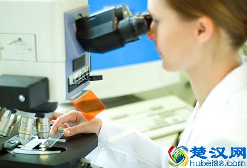 得了痛风怎么办？该吃什么药？如何预防痛风发作？