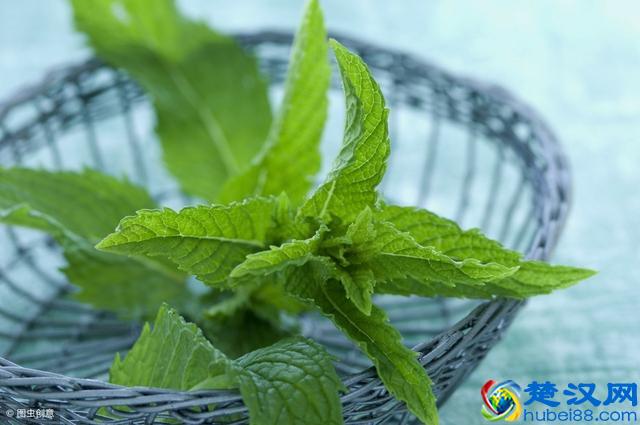 为什么一刷牙就满嘴是血？可能是六种疾病在作怪！