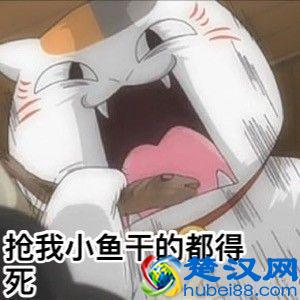 次元是什么意思？二次元、二点五次元、三次元、四次元是什么？