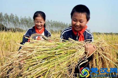 “元亨利贞”到底在讲什么，其中“贞”最容易被误解