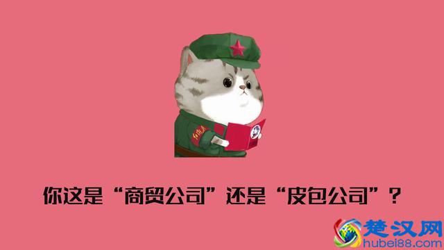 你开的是“商贸公司”还是“皮包公司”？主要看这两点！