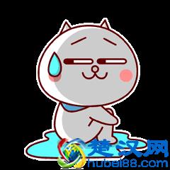 你开的是“商贸公司”还是“皮包公司”？主要看这两点！