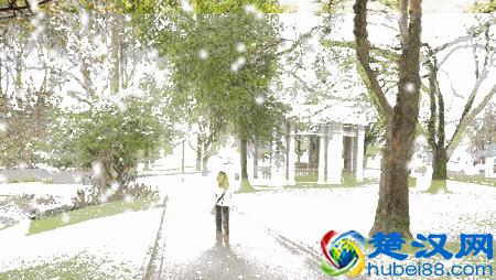 每年春天四五月份，到处都飘满了柳絮，关于它的危害你了解多少？