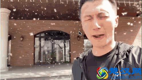 每年春天四五月份，到处都飘满了柳絮，关于它的危害你了解多少？