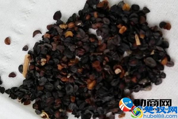 送康乃馨代表啥意思 康乃馨种子怎么种植