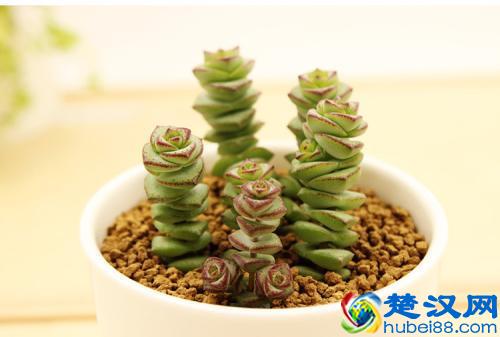 下班后成功打造能赚钱的副业，最好注意这一点，能让你少走弯路