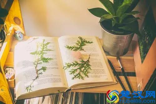 下班后成功打造能赚钱的副业，最好注意这一点，能让你少走弯路