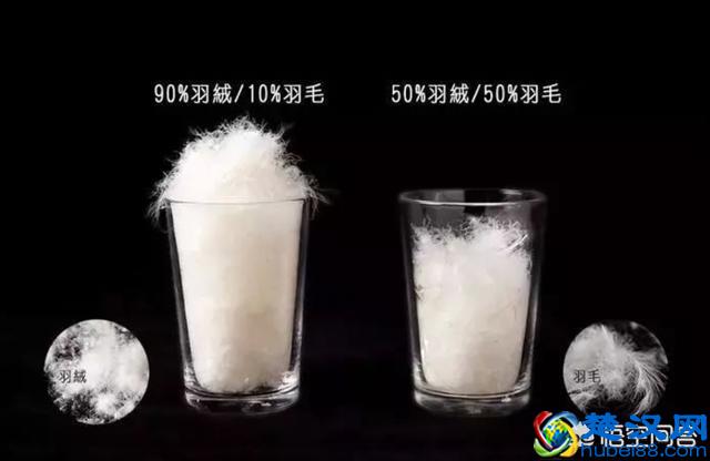 国产的羽绒服有哪些品牌值得推荐？