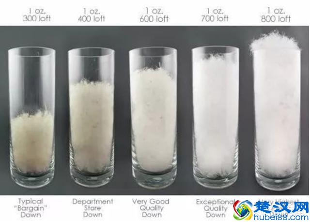 国产的羽绒服有哪些品牌值得推荐？