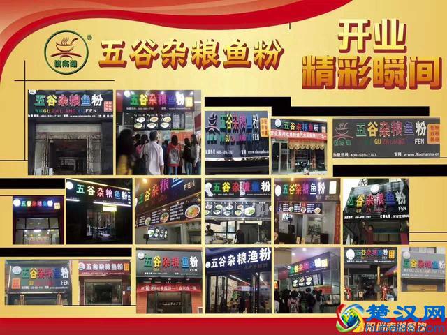 如何选择五谷杂粮鱼粉加盟品牌