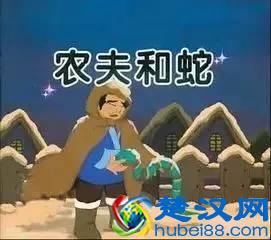 30平社区肉菜店，曾经一月50万，前晚12家加盟店集体叛变