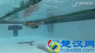 蛙泳怎么样游的又轻松又省力