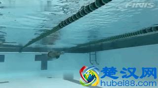 蛙泳怎么样游的又轻松又省力