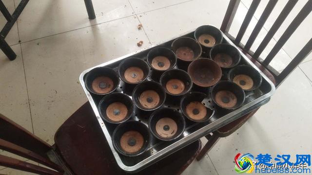 农村办事需要不少东西，但大多数都给浪费了