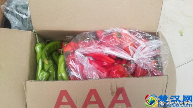 农村办事需要不少东西，但大多数都给浪费了