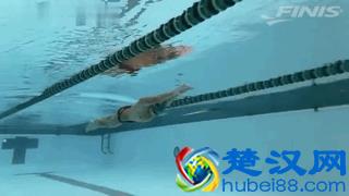 蛙泳怎么样游的又轻松又省力