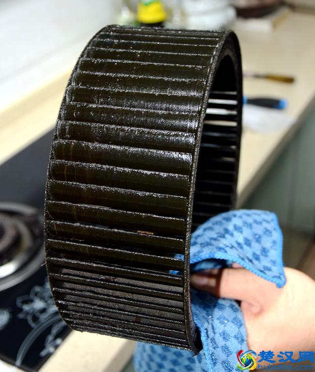 让专业的人做专业的事，家政服务也需要找正规的公司