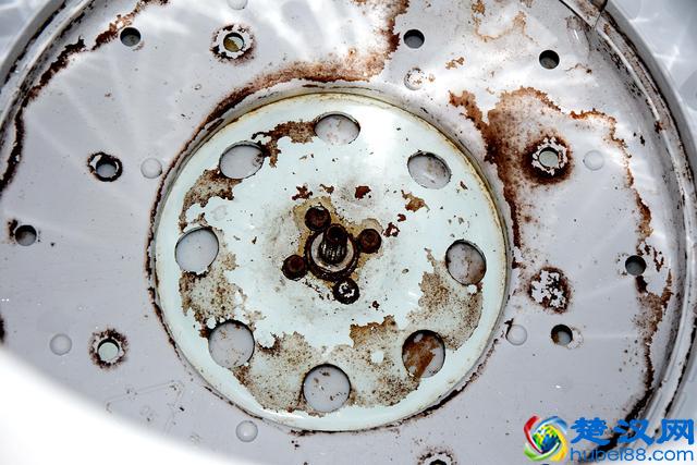 让专业的人做专业的事，家政服务也需要找正规的公司