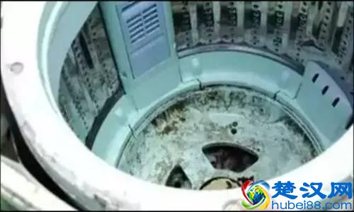 让专业的人做专业的事，家政服务也需要找正规的公司