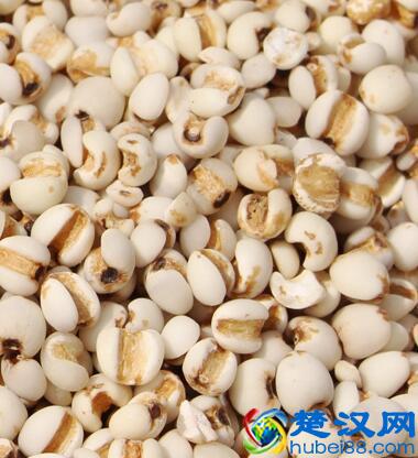 薏米粉怎么做 薏米粉怎么吃