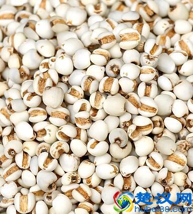 薏米粉怎么做 薏米粉怎么吃